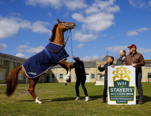 The Weatherbys Hamilton Stayers’ Million