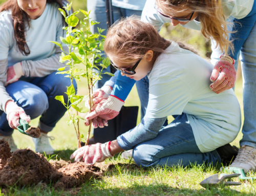 What Are The Differences Between a Dedicated Foundation/Legal Entity and a Donor Advised Fund?