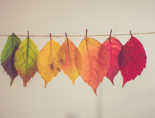 Navigating the Liability Market